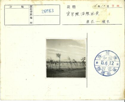 宁静草地远山云树.jpg