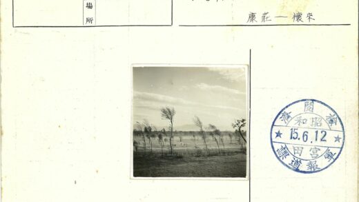宁静草地远山云树.jpg