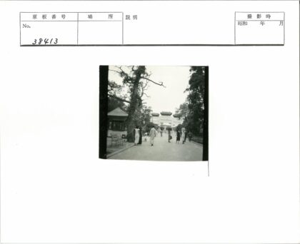 宝塔人行道散步风景.jpg