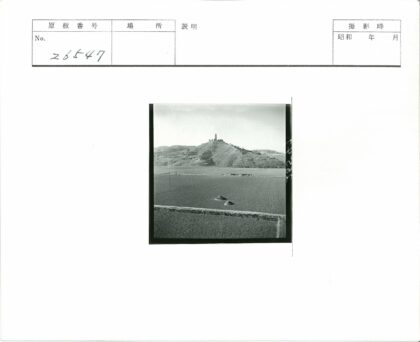 宝塔山梯田岩层俯瞰.jpg