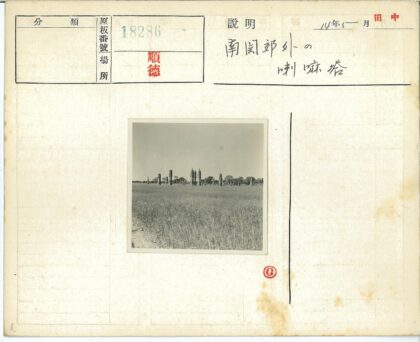 宝塔草地晴空树木.jpg