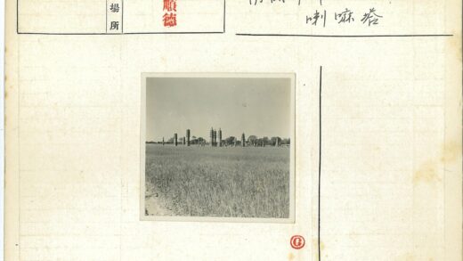 宝塔草地晴空树木.jpg