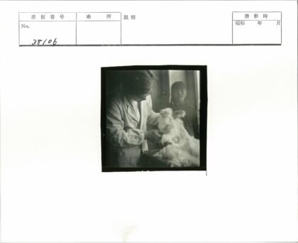实验室人员修剪兔毛观察.jpg