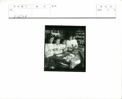 实验室女性科研团队工作场景.jpg