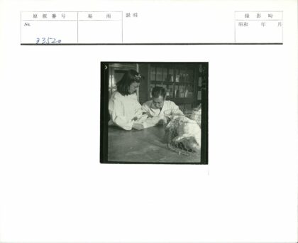 实验室科学家检查实验兔子.jpg