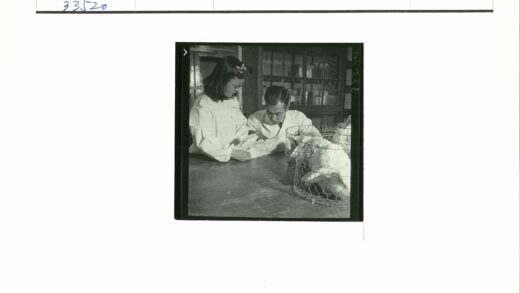 实验室科学家检查实验兔子.jpg