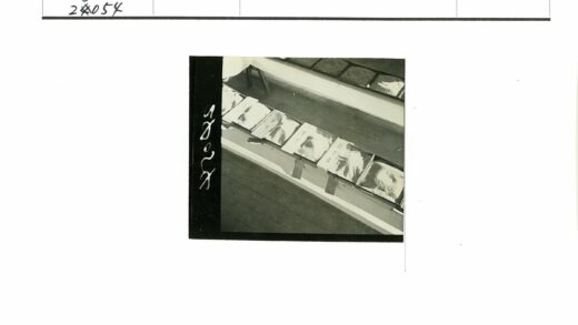 实验室颗粒物质样本展示.jpg