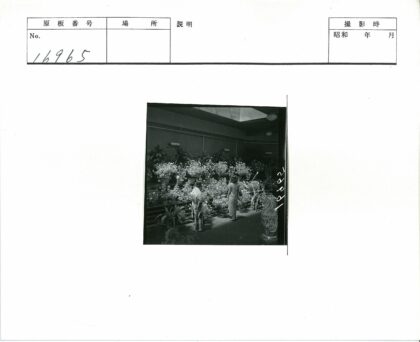 室内天窗下的盆栽与鲜花.jpg