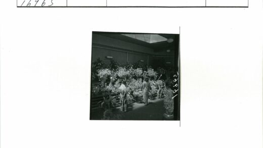 室内天窗下的盆栽与鲜花.jpg
