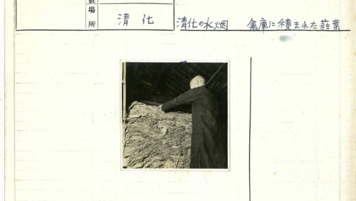 室内整理干叶工作场景.jpg