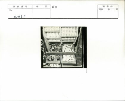 室内木板箱存放鸡蛋与小鸡.jpg