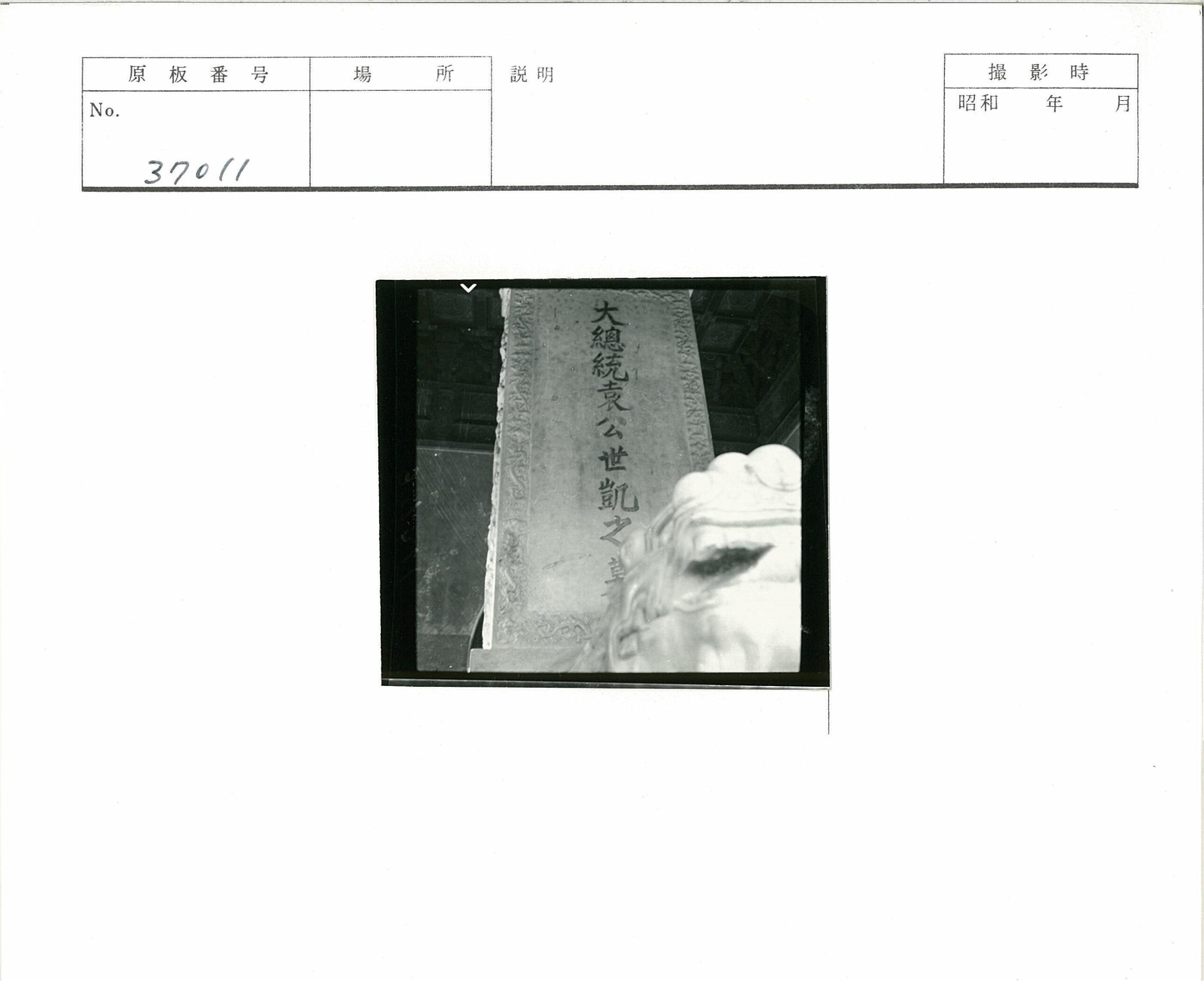 室内石柱与狮头雕像.jpg