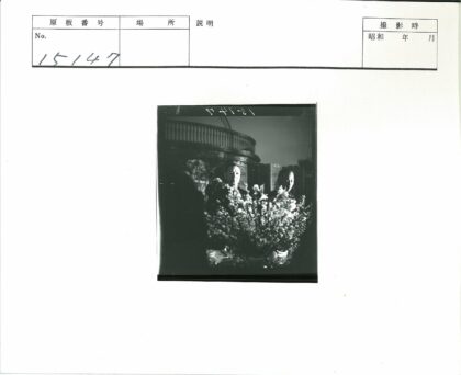 室内聚会与木制阳台插花.jpg