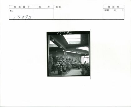 室内花园与现代建筑自然光.jpg