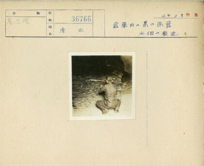 室内跪地观察叶堆.jpg