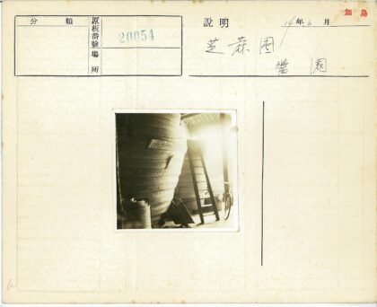 室内阳光下的编织梯子自行车.jpg