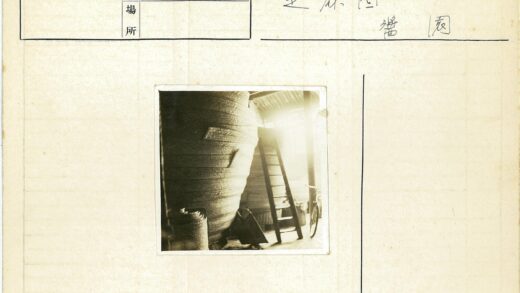 室内阳光下的编织梯子自行车.jpg