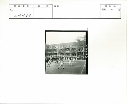 室外排球比赛球场观众建筑树木.jpg