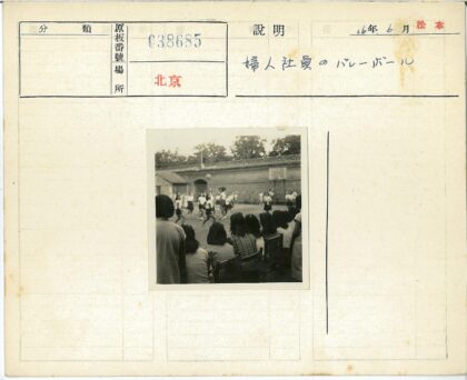 室外篮球场观众与砖墙树木背景.jpg