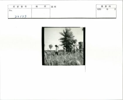 宽边帽人群走过草地树林背景.jpg