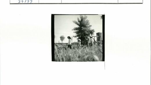 宽边帽人群走过草地树林背景.jpg