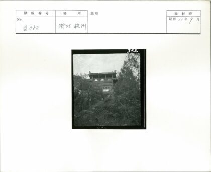 密林中的雕刻古门.jpg