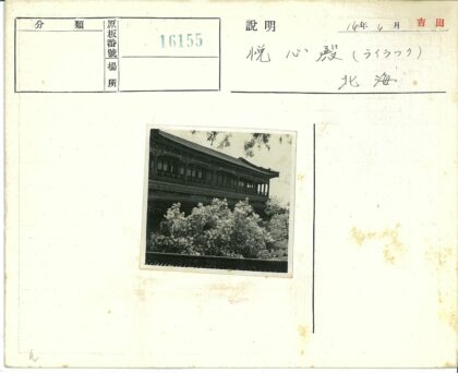 密林掩映下的精致建筑.jpg