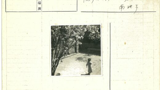 小孩与开花树鹅卵石小路.jpg