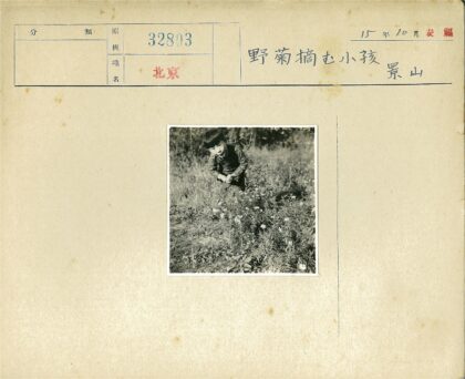 小孩野花草甸自然风景.jpg