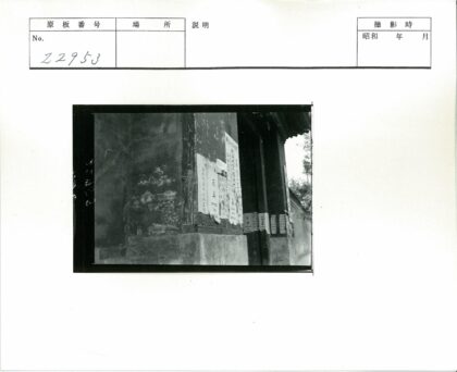 小巷古墙手写海报与树影.jpg