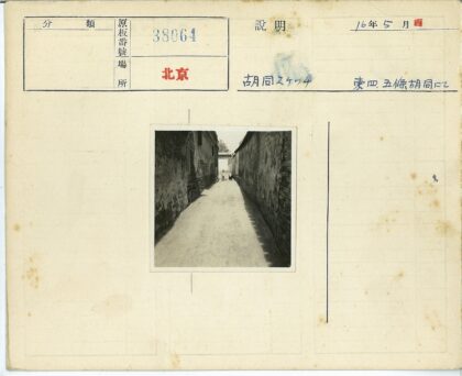 小巷尽头的孩子与狗.jpg