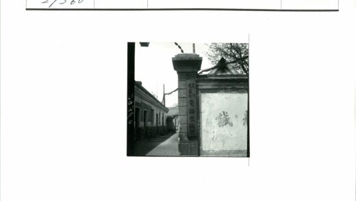 小巷建筑文字老树街景.jpg