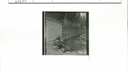 小溪石岸木栅栏树影.jpg