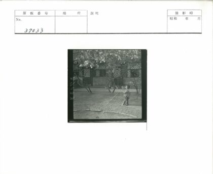 小男孩与花园花树建筑窗景.jpg
