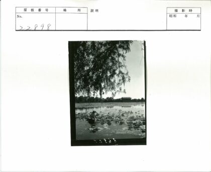 小船穿莲池望高楼.jpg