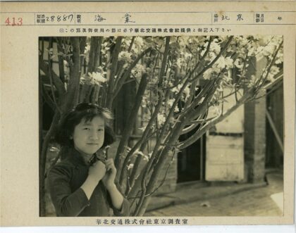 少女与白花树前的微笑.jpg