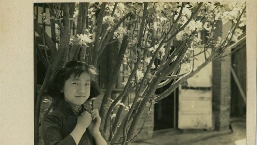 少女与白花树前的微笑.jpg