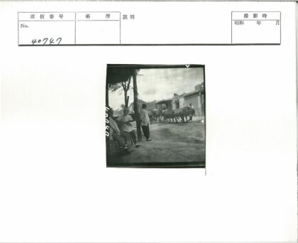 尘土街道树荫下牛车行人.jpg