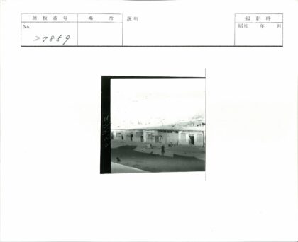 尘土飞扬的街景与狗.jpg