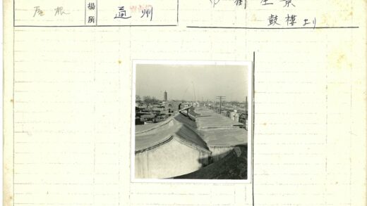 屋顶远眺高塔晴空树影.jpg