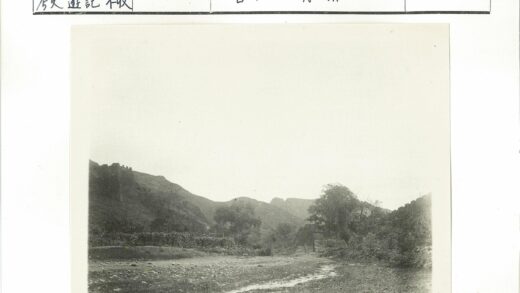 山丘小路与绿树风光.jpg