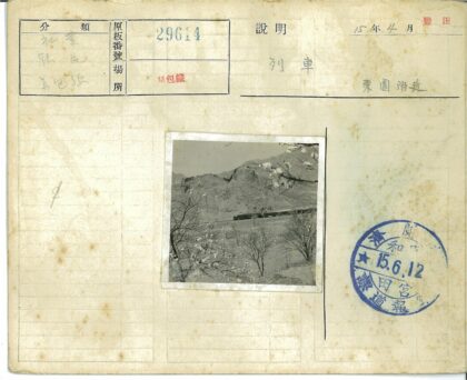 山区火车穿越春花林.jpg