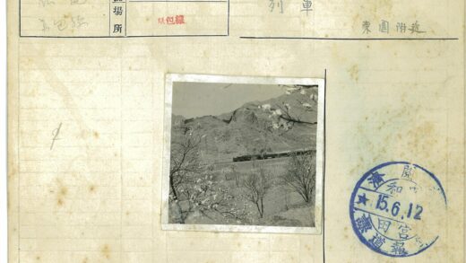 山区火车穿越春花林.jpg