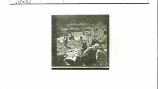山区驮畜队伍穿越崎岖山路.jpg