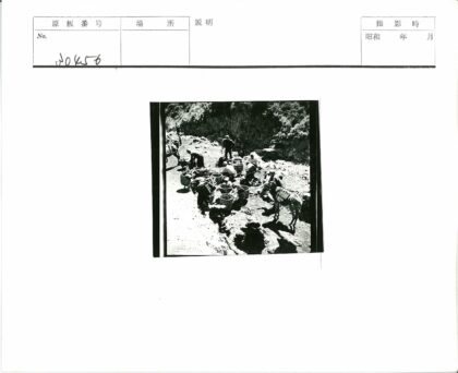 山区驴队运输工作纪实.jpg