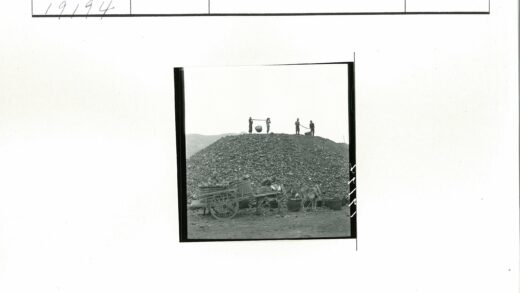 山区驴队运输货物工作场景.jpg