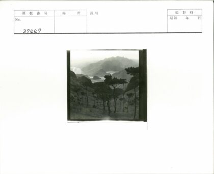 山区高树蜿蜒河流景观.jpg