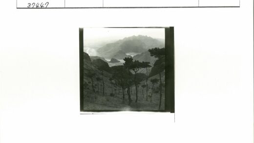 山区高树蜿蜒河流景观.jpg