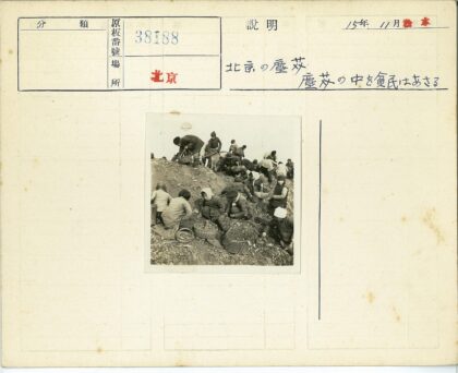 山坡上人们收集物品.jpg