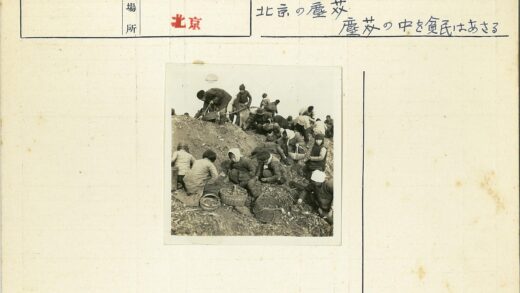 山坡上人们收集物品.jpg